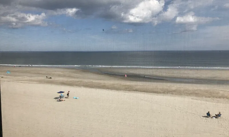 2 bed, $1,800 — Photo 2