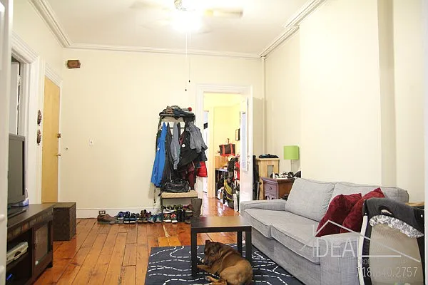 Rented by Ideal Properties Group | media 46