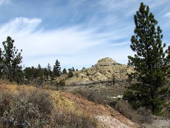 3rd image of 3808 Moon Creek Rd