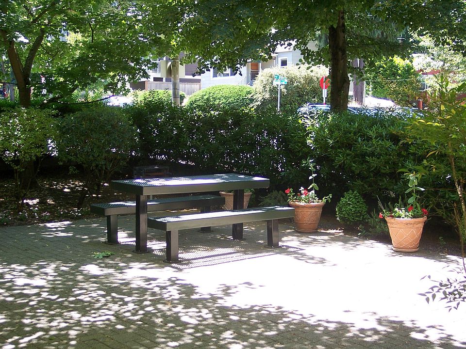 Shade Garden