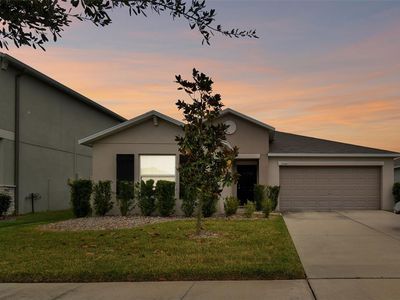17144 Sunshine Mimosa St, Wimauma, FL, 33598