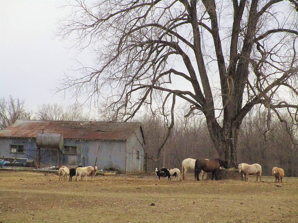 2nd image of 1972 Country Rd #1985