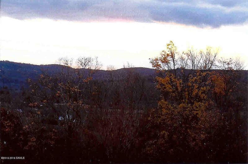 3rd image of 0 SHELDON Road