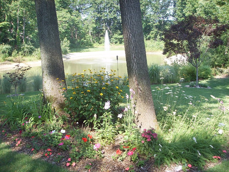 Backyard (Pond)