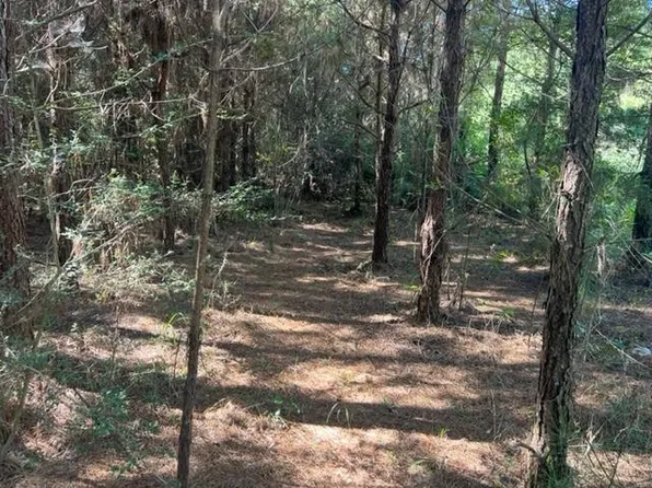 Coon Rd, Opp, AL 36467