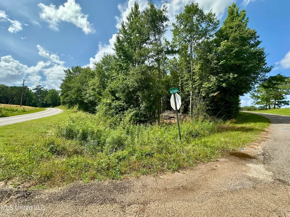 66 Pete Freeman Rd, Decatur, MS 39327