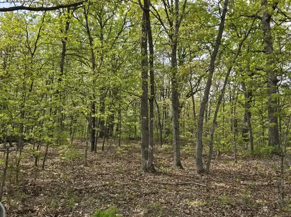 Tract G Golden Lane, Lebanon, MO 65536