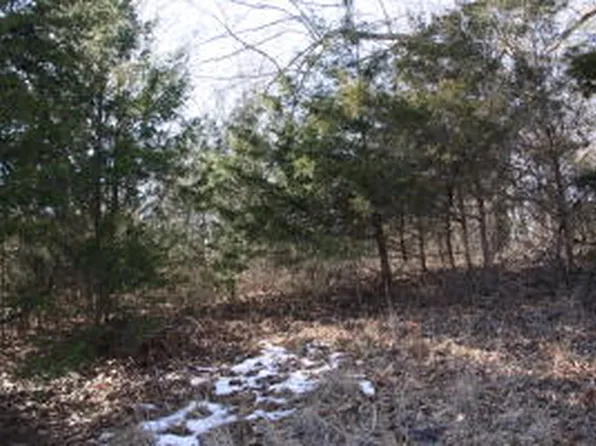 2853 Mountain Vista Rd, Harrison, AR 72601