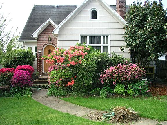 5/2006