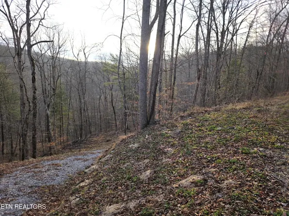 Old Us Highway 27 Mountain View Rd, Robbins, TN 37852