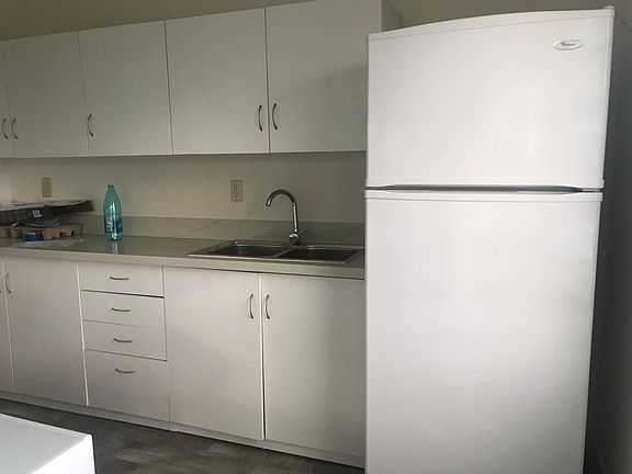 Kitchen with quartz countertop, dual sink and induction stove top included. Full sized refrigerator.