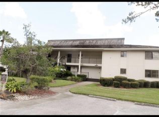 29230 Bay Hollow Dr APT 3275, Wesley Chapel, FL 33543