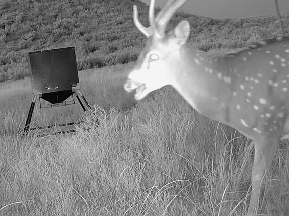5th image of 0 Poverty Canyon Rd