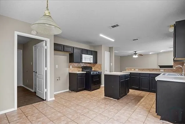 8413 Southern Prairie Dr — Photo 5
