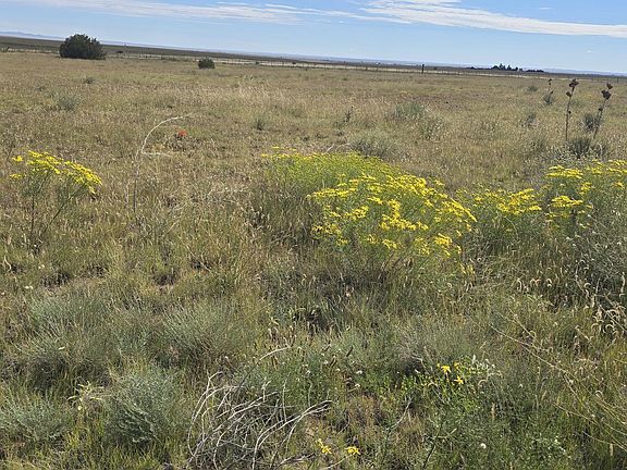 4th image of 235 Riley Rd