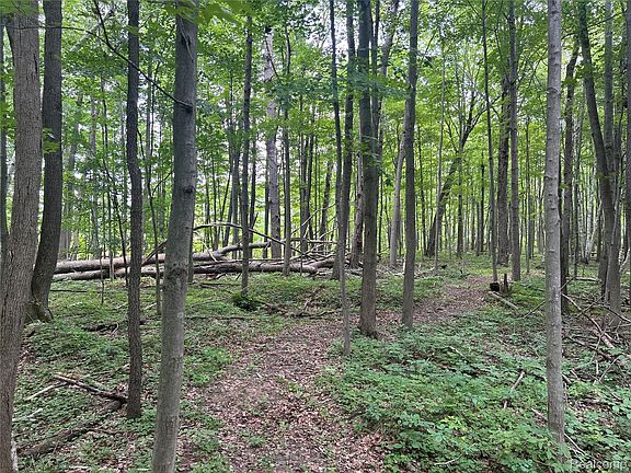 4th image of 4502 Cemetery Rd
