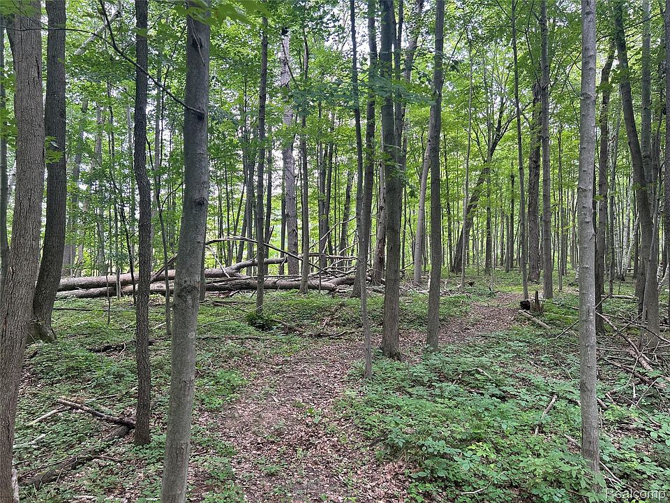 1st image of 4502 Cemetery Rd