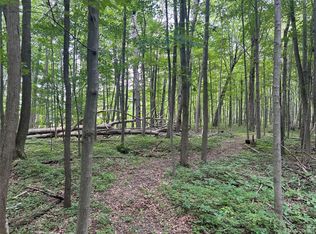 4502 Cemetery Rd, Kingston, MI 48741