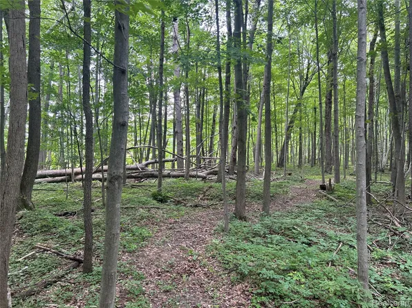 4502 Cemetery Rd, Kingston, MI 48741