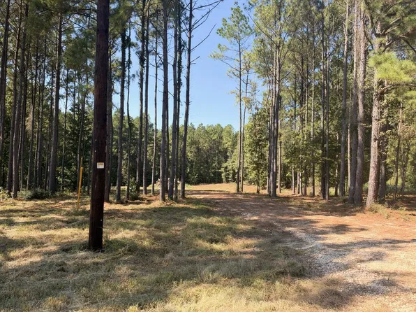 150 Buck Aly, Douglass, TX 75943
