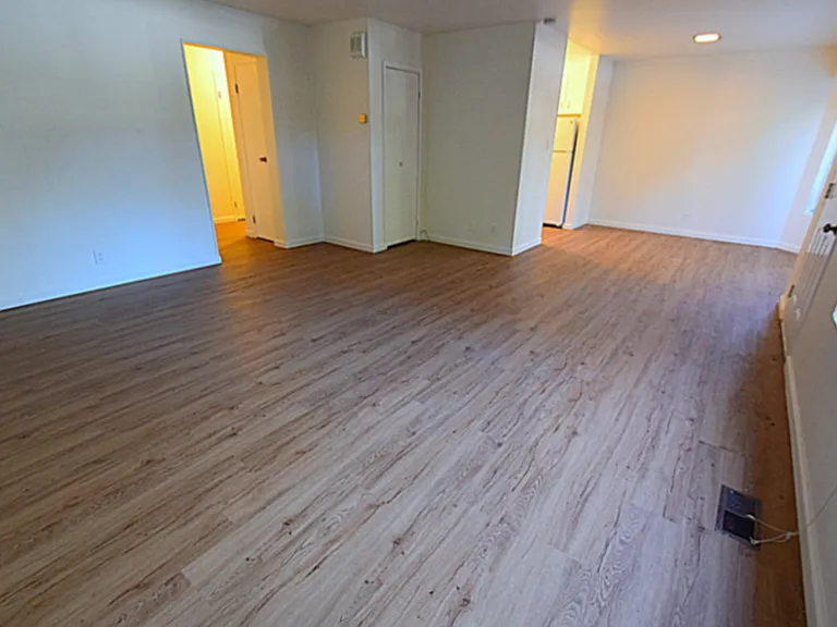 170 Miller Ave #7 — Photo 6