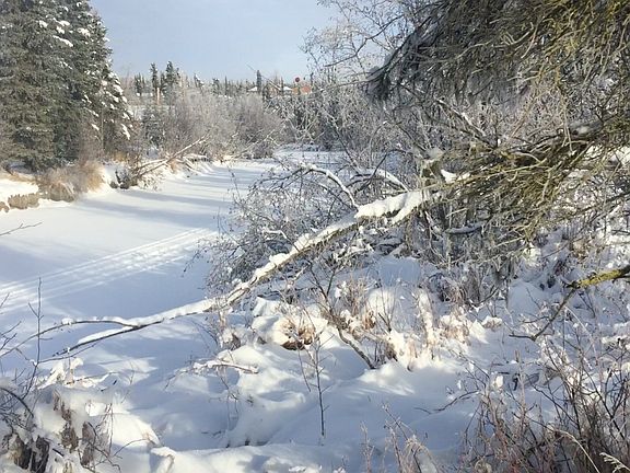 Cabin site view north