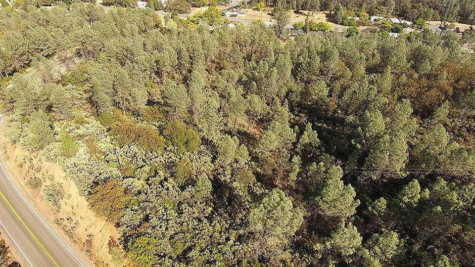 1st image of Shasta Dam Blvd