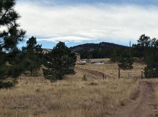 993 County Road 59, Guffey, CO 80820