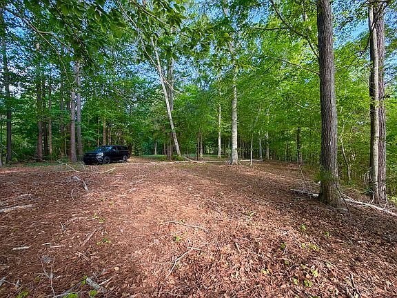 3rd image of 105 Perrys Point Ln