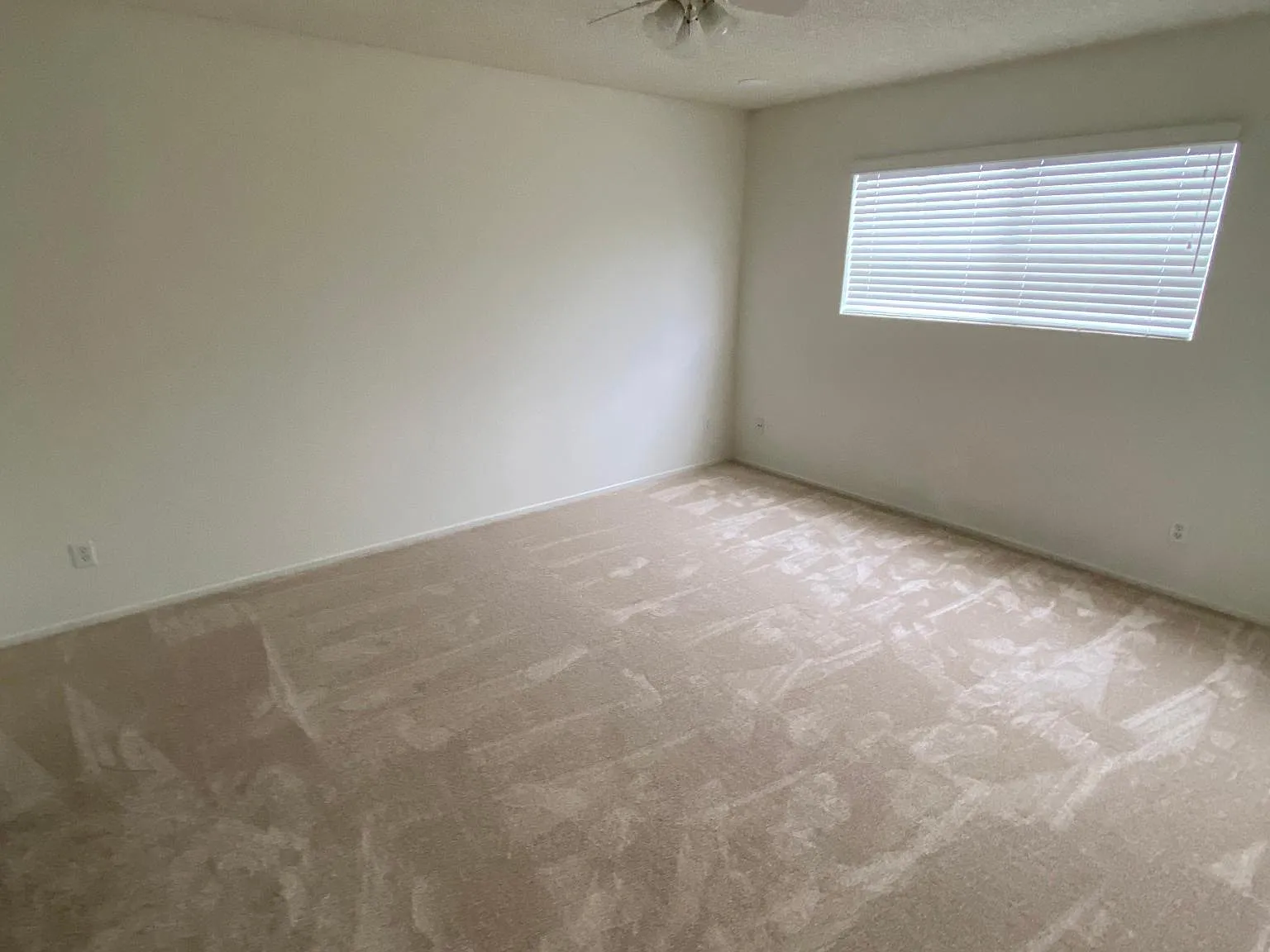 10828 Palms Blvd — Photo 4