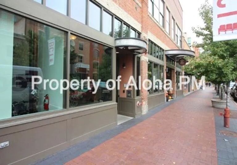 419 S 8th St #205 — Photo 15