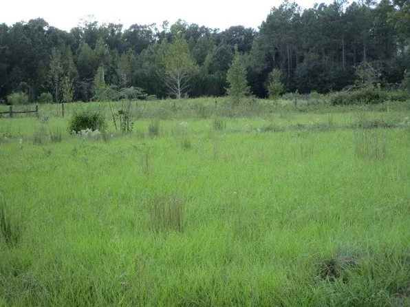 12625 NW Twin Oaks Dr, Bristol, FL 32321