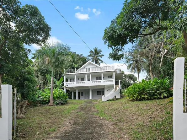 Bo Zarzal Comunidad Candal Calle #15-67-A, Rio Grande, PR 00745