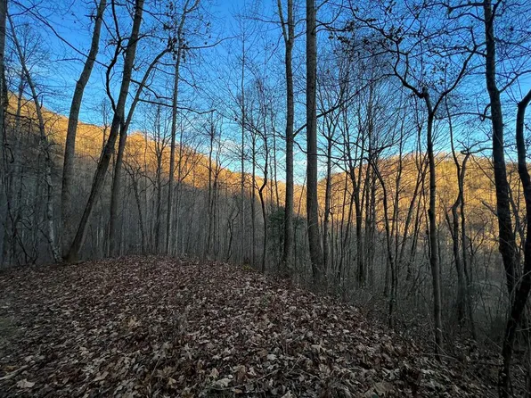0 N Fork Rd, Sylva, NC 28779