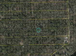 LOT 358 SW 75th Trl, Jasper, FL 32052
