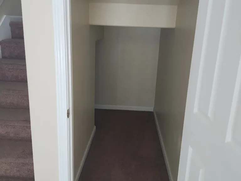 Hall Closet and Under Stair Storage