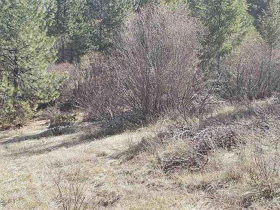 5th image of 39-40 41 Forest Dr