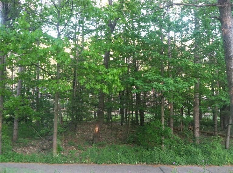 1st image of Lakeshore Dr