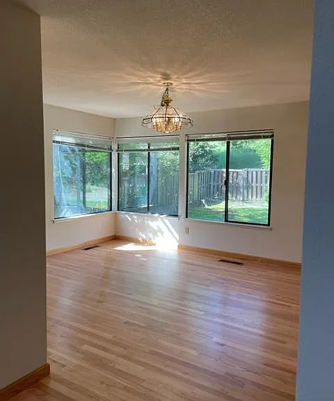 335 Live Oak Dr — Photo 20