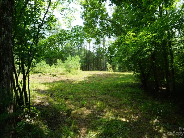 115/ACRE S McGill Rd, Smyrna, SC 29743