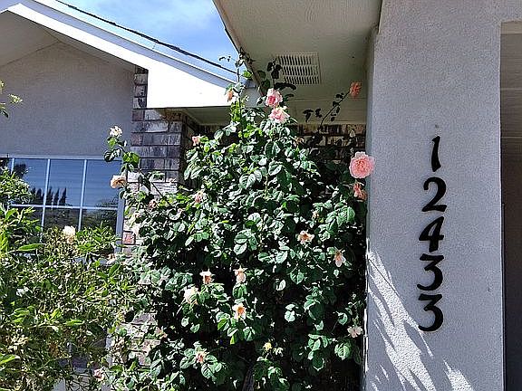 4th image of 12433 Angie Bombach Ave