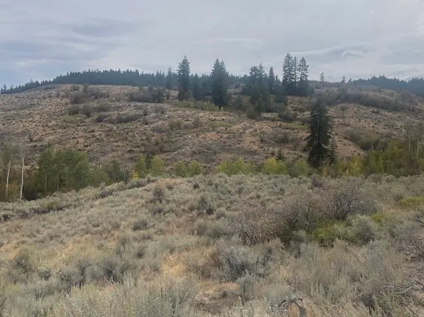 652 TBD Ellemeham Mtn Road, Oroville, WA 98844
