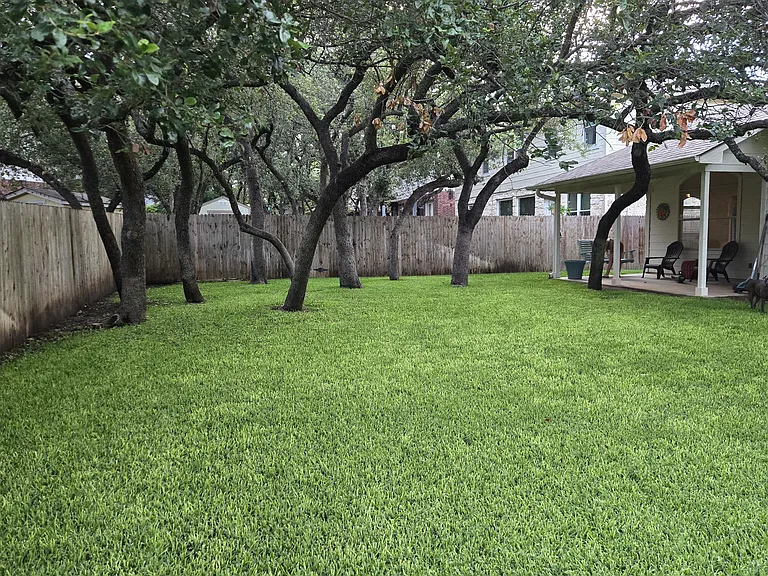 Large back yard with several oak trees