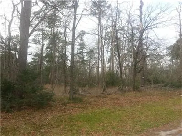 Green Branch Dr, Humble, TX 77338