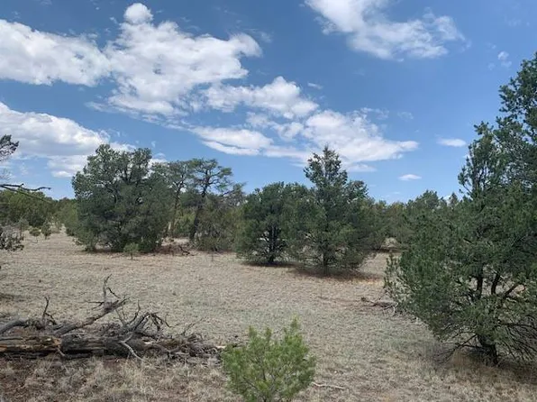LOT 45 Log Canyon Rd, Datil, NM 87821