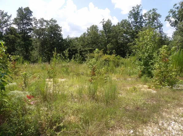 0 Old Union Church Rd, Holladay, TN 38341