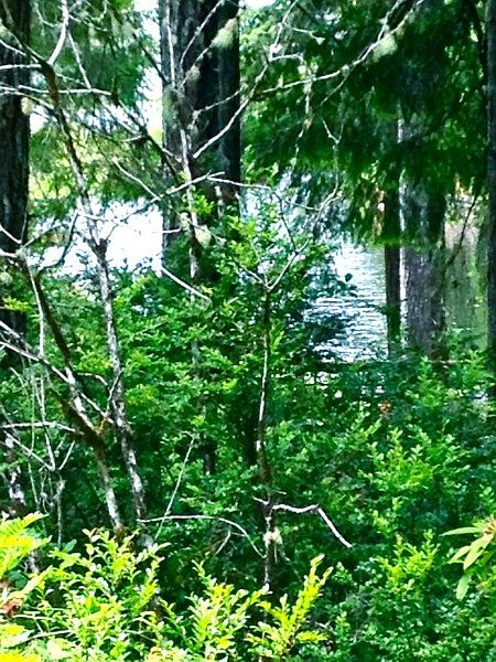 Looking to the left down the lake