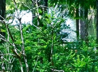 150 NE Collins Lake Dr, Tahuya, WA 98588