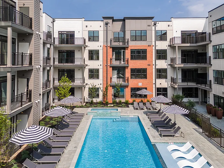 Aster Grove — Photo 65