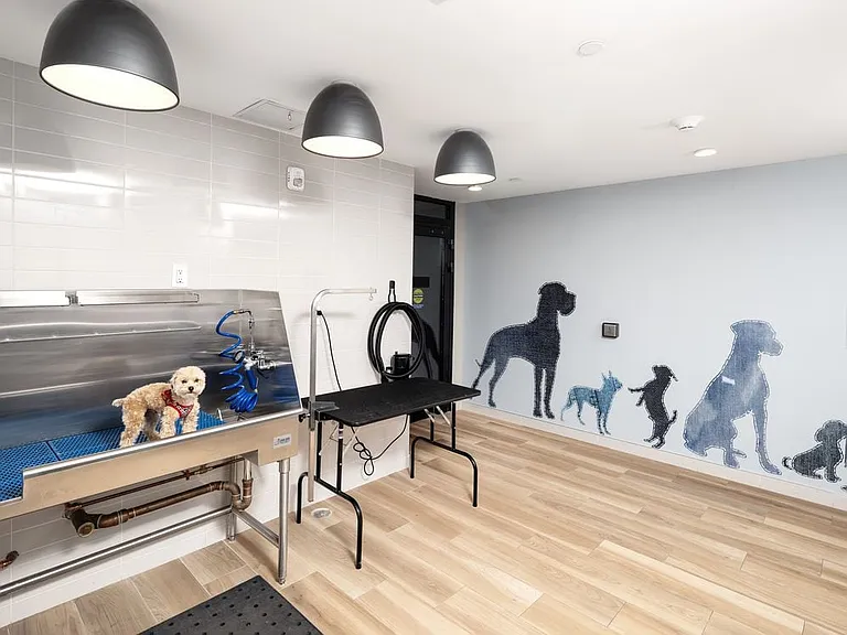 WAG pet spa